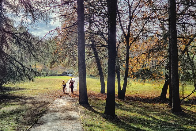 Een dag klimmen in het bos bij Oosterhout en wat je kunt verwachten